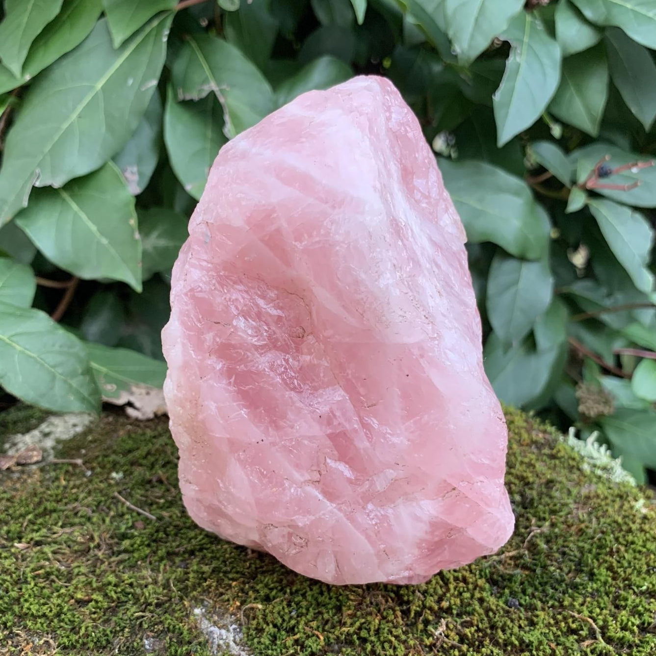 Love Gift (For Office Table) | Rose Quartz Raw / Rough Stone / 700 Gram One Piece /