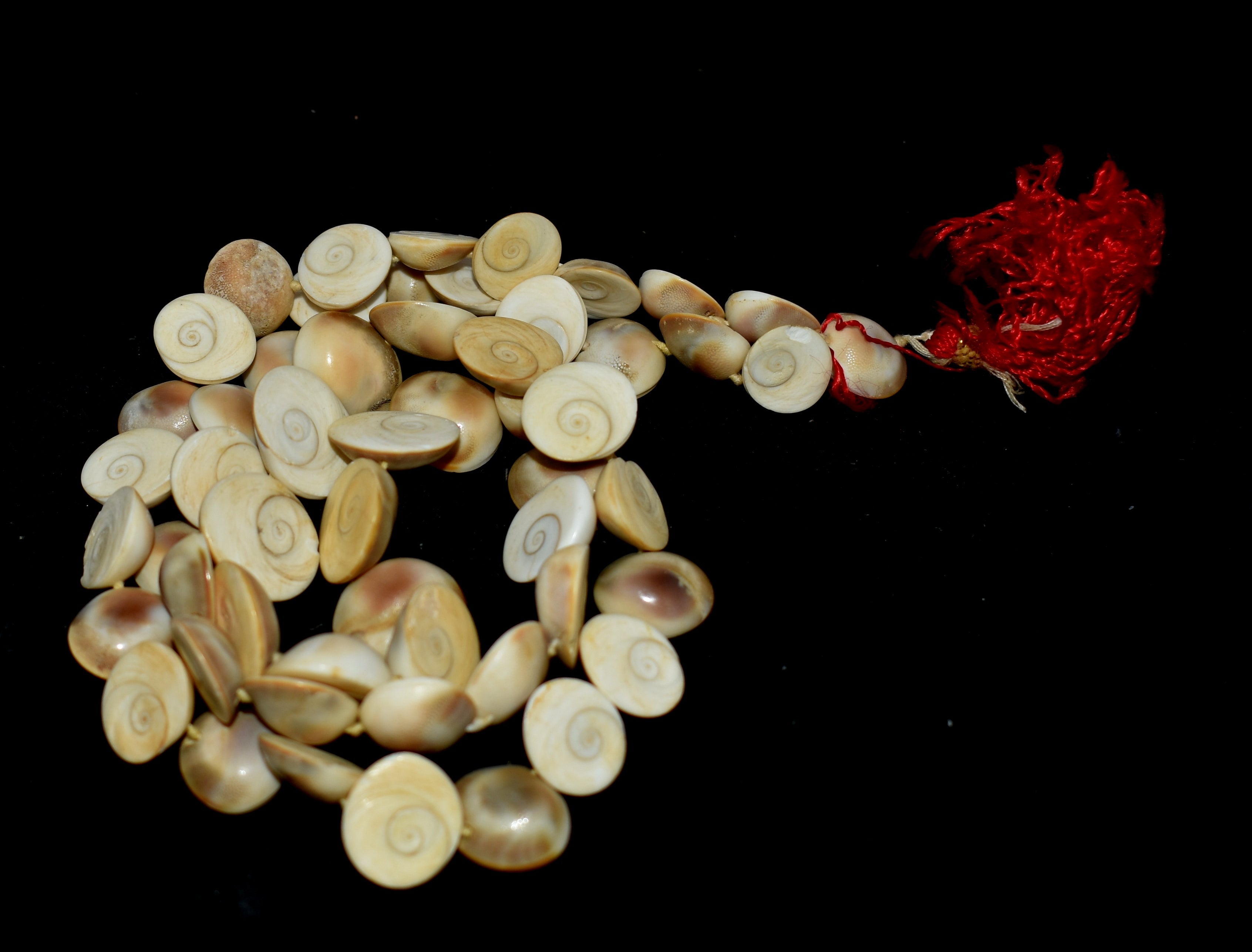 Gomti Chakra Mala - Sacred mala made from Gomti Chakra beads, used in meditation and prayer for spiritual growth and prosperity. #GomtiChakraMala #SpiritualBeads #MeditationMala #PrayerBeads #SacredMala #Prosperity #SpiritualGrowth #HinduRituals #Blessings #SacredSymbols